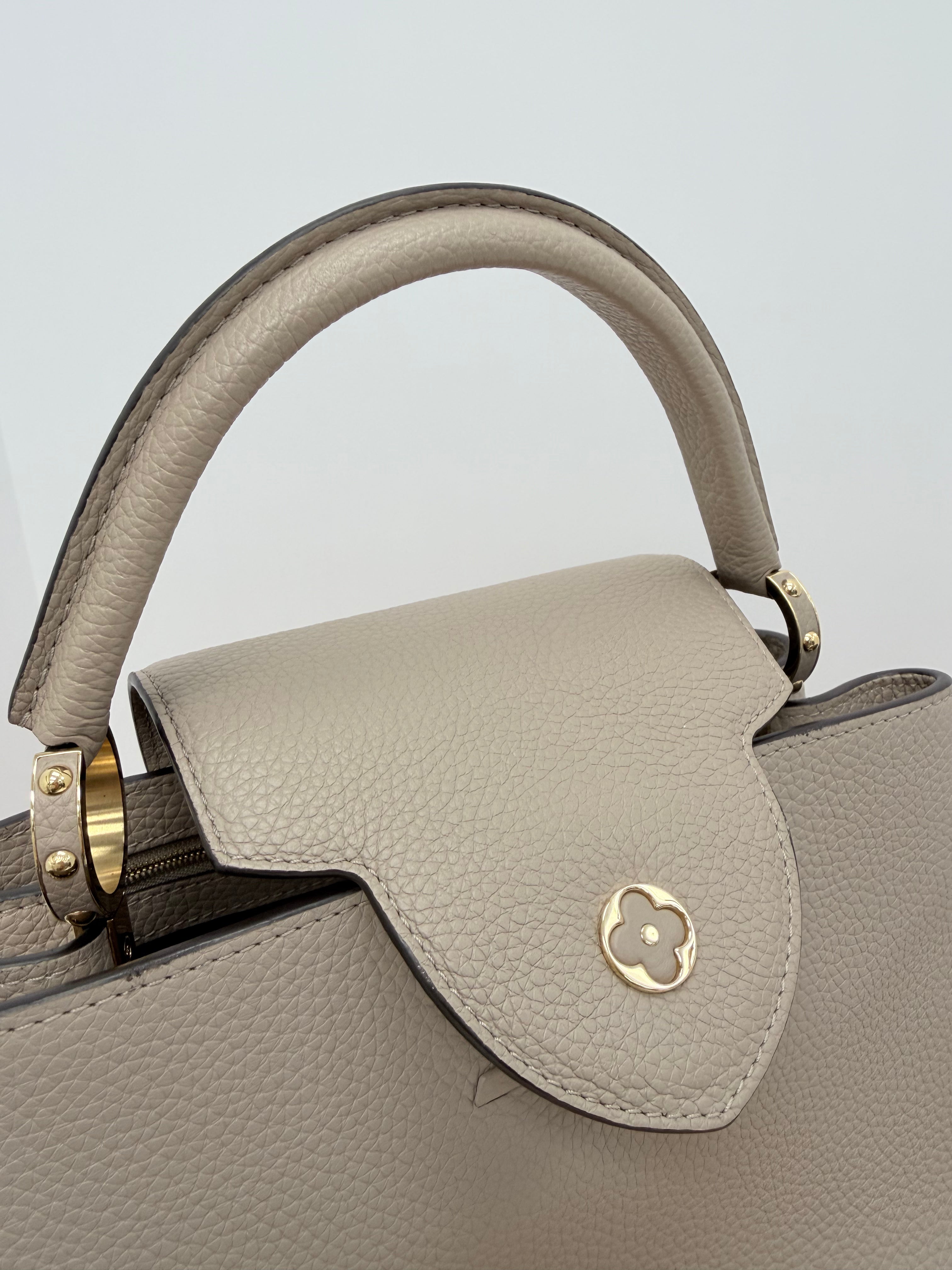Louis Vuitton Taurillon Capuccine Leather Hand Bag Medium